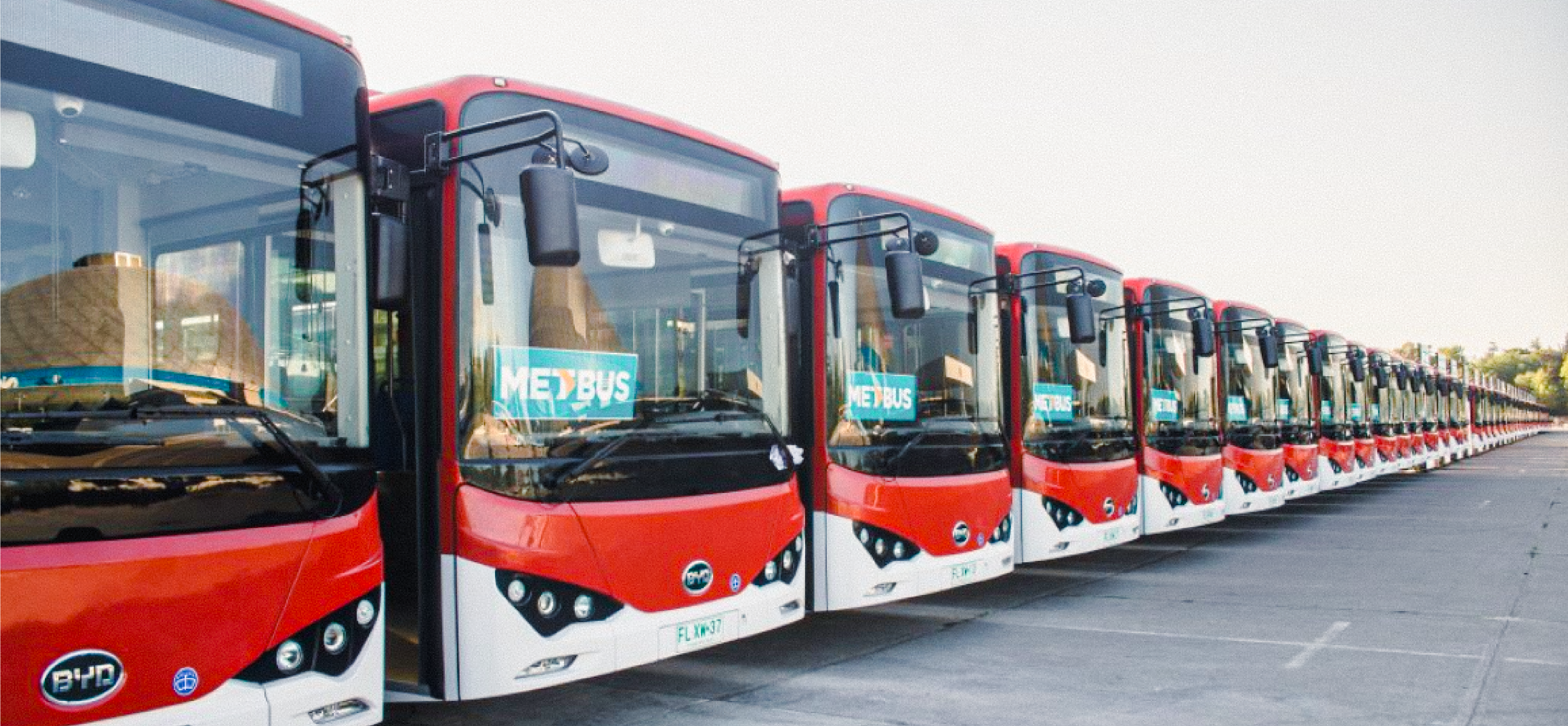 SOAP Buses: Tu guía esencial para entender el Seguro Obligatorio de Accidentes Personales en el transporte público