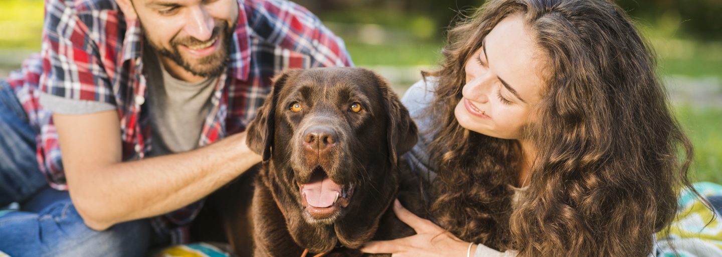 Responsabilidad Civil para dueños de mascotas: Protección patrimonial frente a imprevistos de cuatro patas